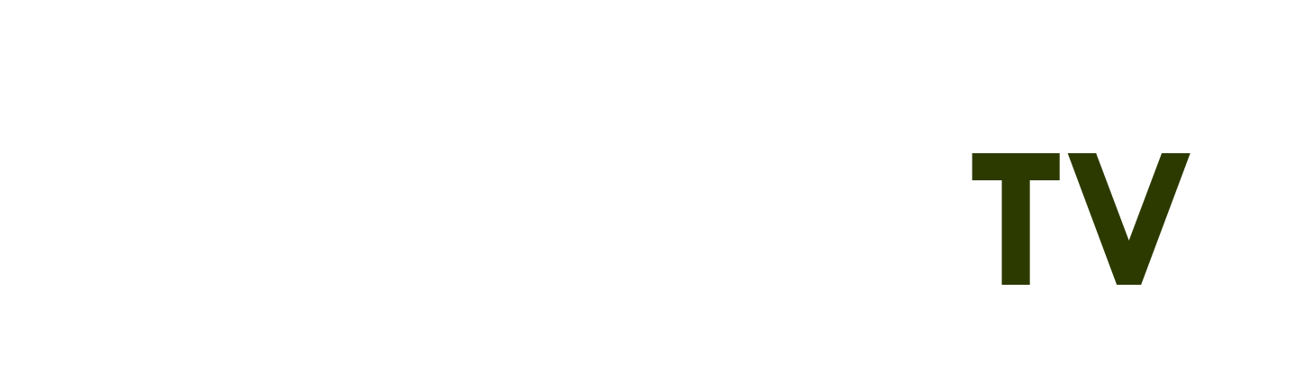 giá cổ phiếu hpg